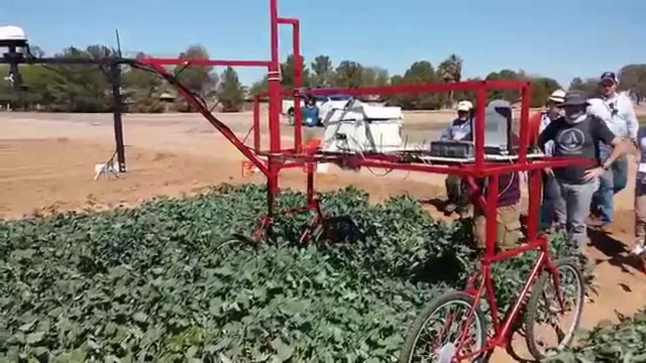 Crop Phenotyping: New Arizona Technology Aims To Improve Crop Quality, Yield