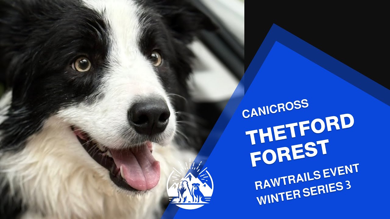 Canicross Thetford Forest Winter Series RACE
