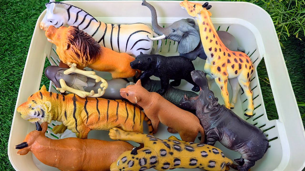 Unexpected Wild Animals Mystery Basket for Kids🦒🦁 | Animal Names & Sounds for Kids