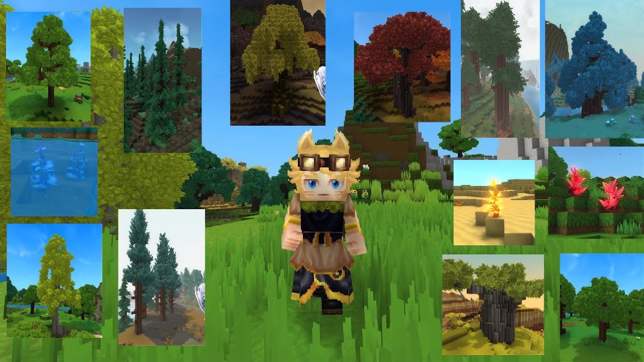 Vị trí tất cả các loại gỗ trong Hytale | All Wood Hytale
