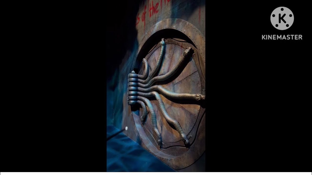 Chamber of secrets || Harry potter || visions of magic || universal studios 