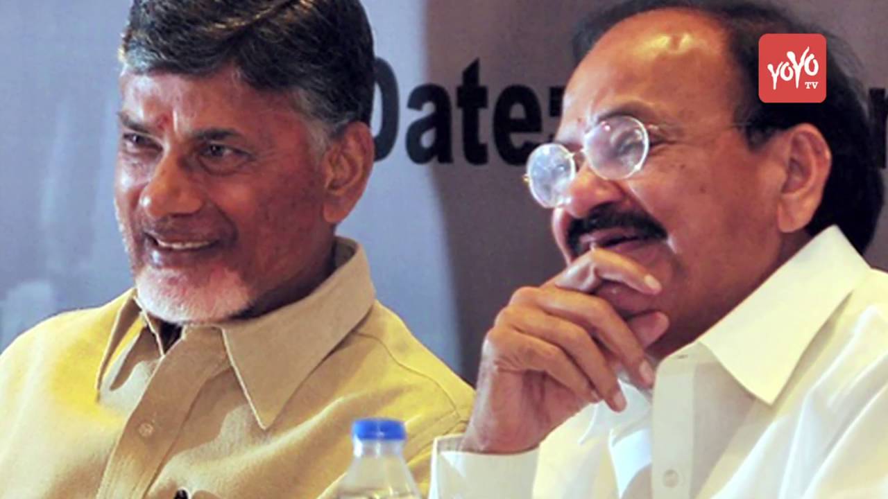 BJP Venkaiah Naidu Sensational Comments On Jana Sena Pawan Kalyan || YOYO TV Channel