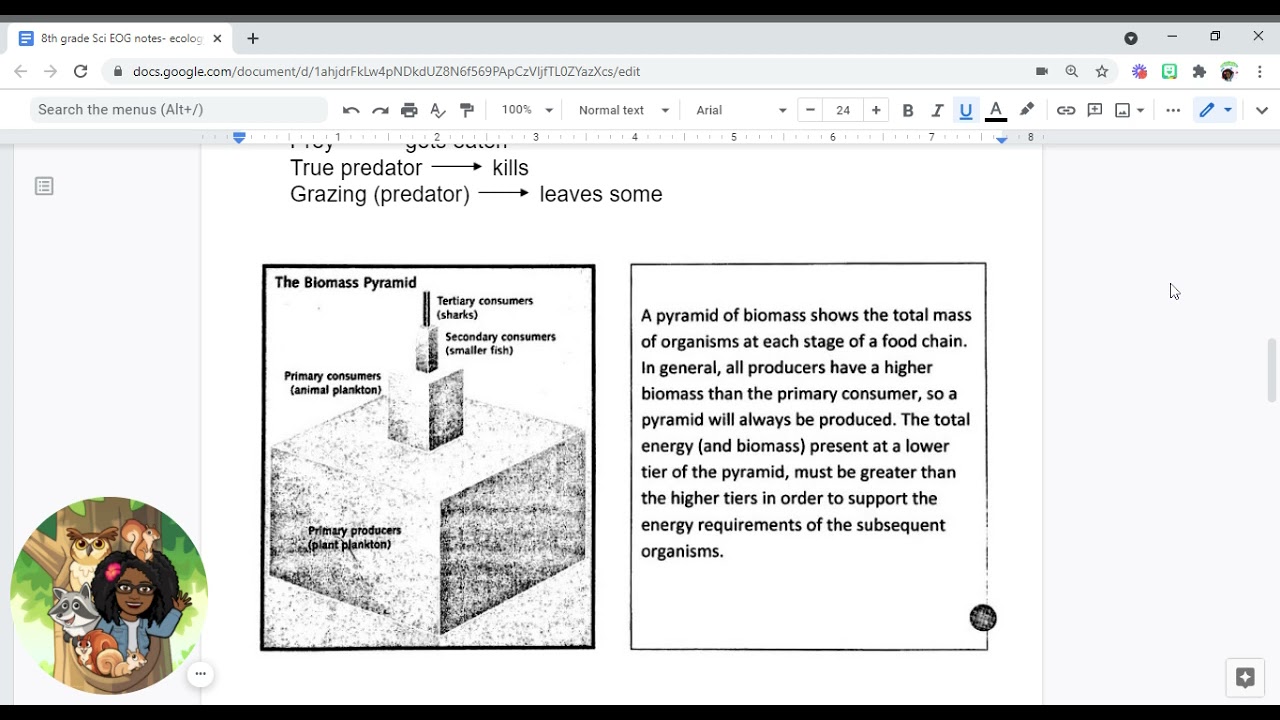 8th grade Sci EOG notes- ecology