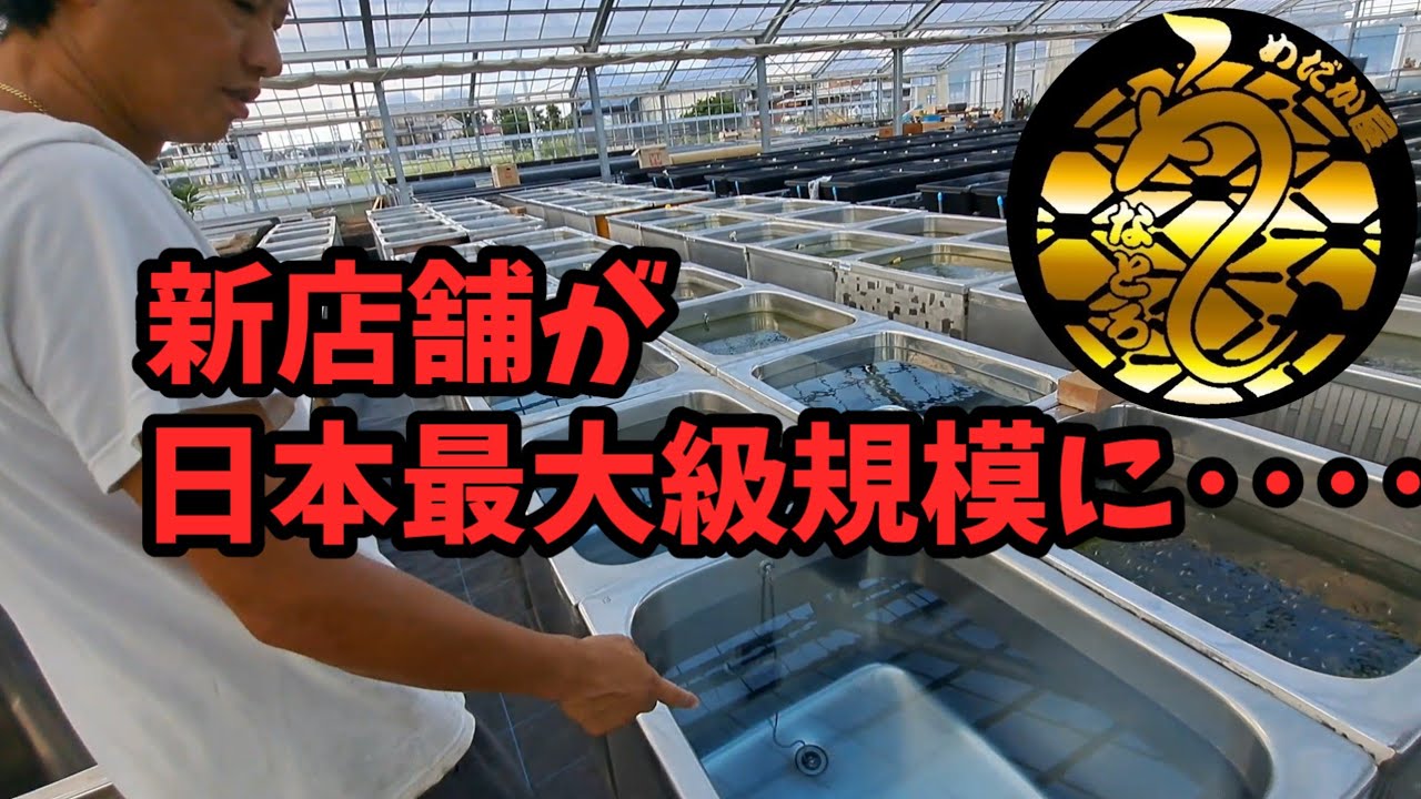 新店舗が日本最大級規模になりつつある【うなとろふぁーむ2025】安らぎAQUAちゃんねる