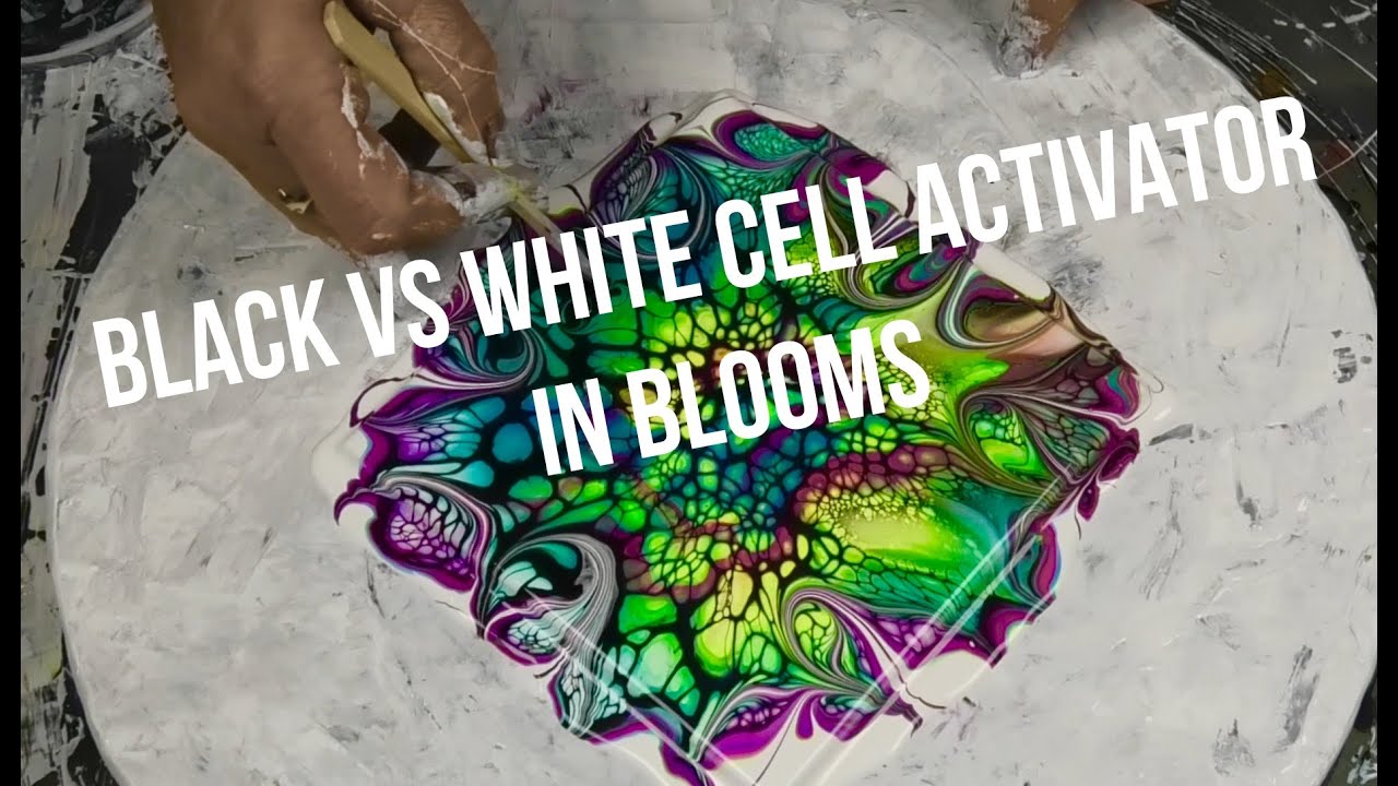 #288 BLACK VS WHITE CELL ACTIVATOR IN BLOOMS 🐨👍