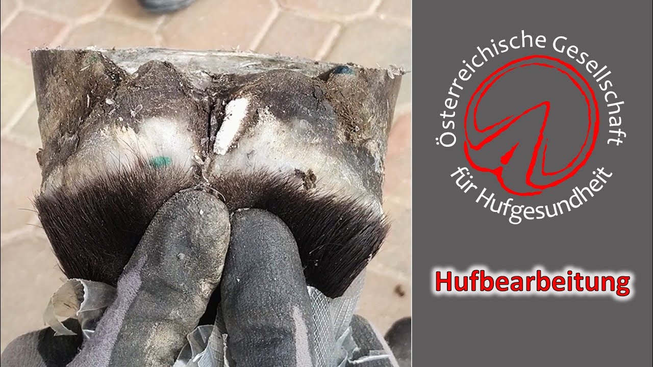 Hufbearbeitung