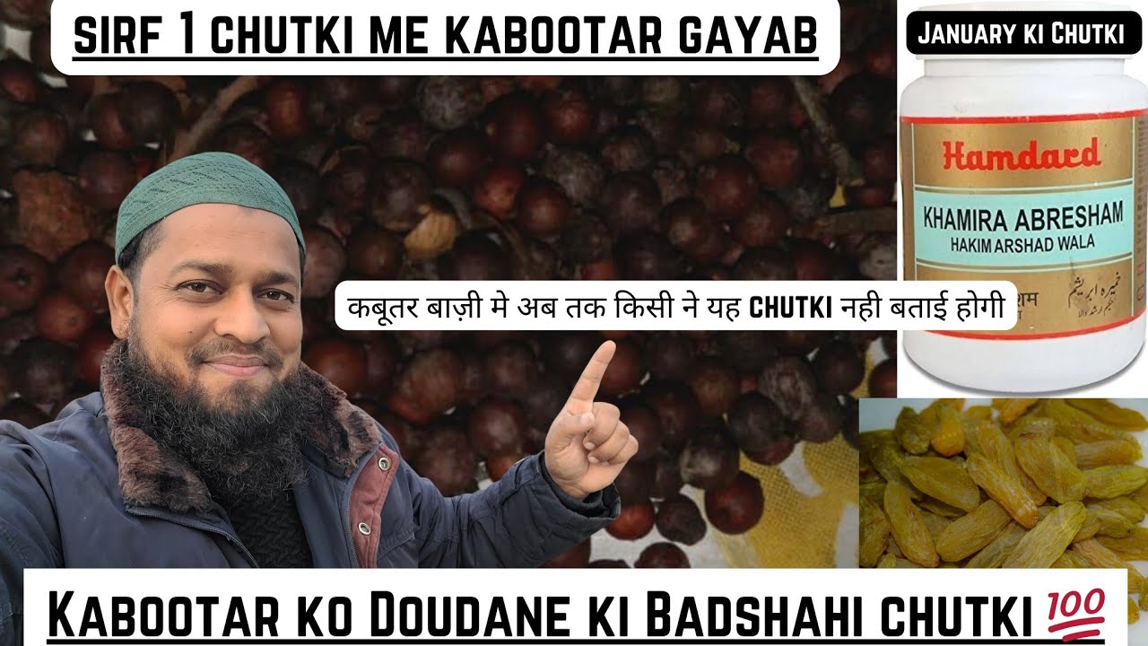 Kabootar bazi Me Ab Tak Kisi Ne Ye Chutki Nahi Batai Hogi 💯 ||@pigeonscarefactory5328