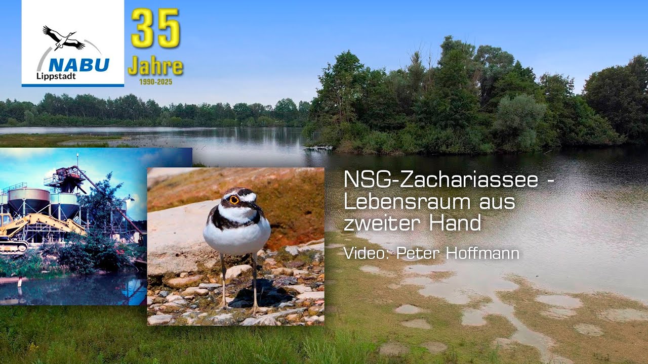 NSG Zachariassee - Lebensraum aus zweiter Hand