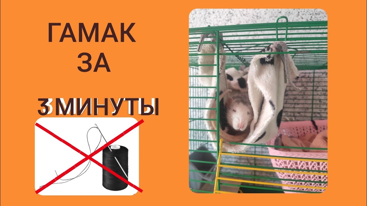 Как сделать гамак для грызунов за 3 минуты без шитья.✨🥨