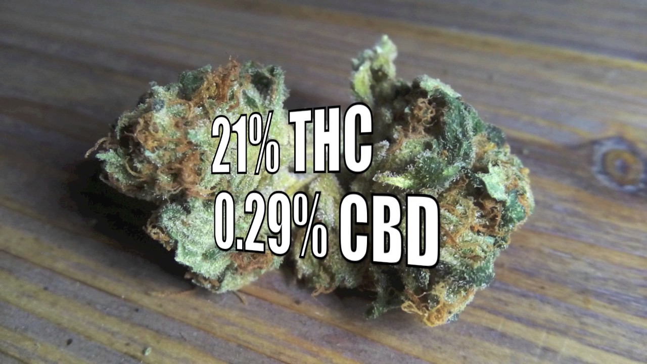 Top 5 weed strains - Wake n' Bake 420's  BEST