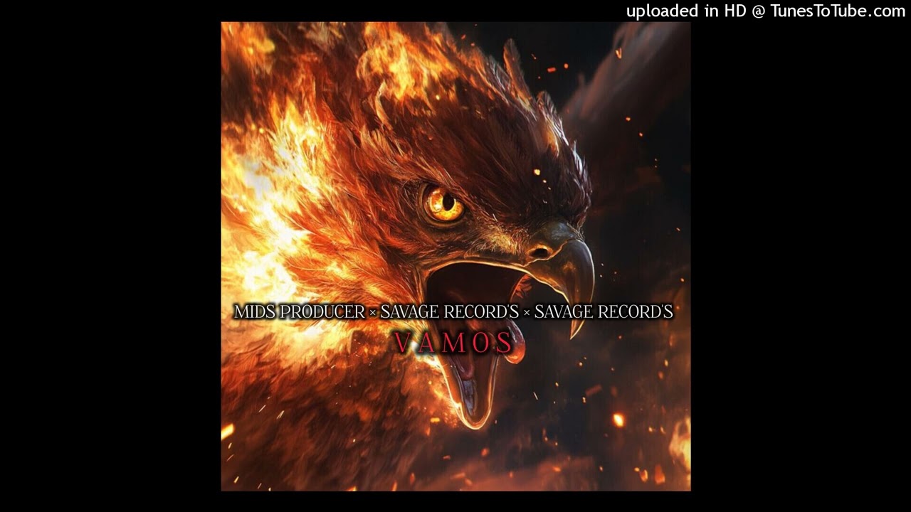 Mids Producer × Savage Record's - Vamos (áudio oficial)