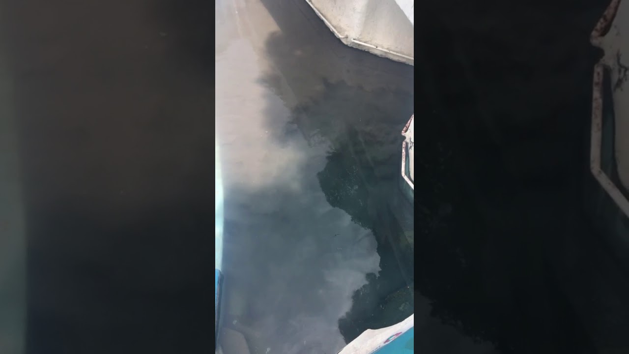 Agua Hedionda sismo 19S 2017