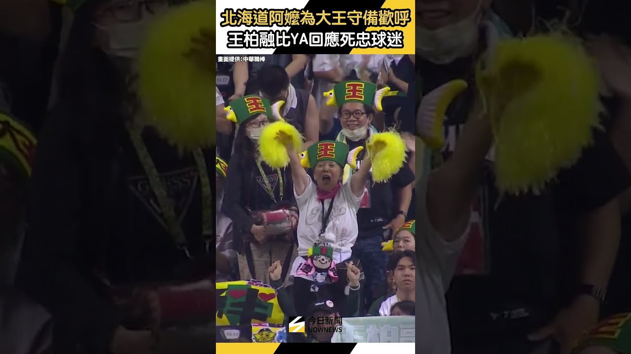 #北海道阿嬤 為大王歡呼！#王柏融 比YA回應忠實球迷｜NOWNEWS
