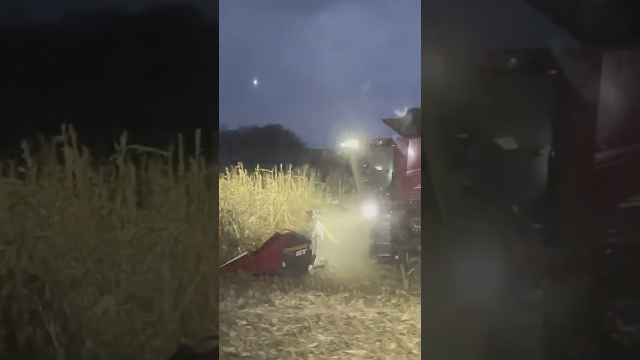 @CaseIHTube 8250 Combining Corn on the Night Shift #farming #shorts #usa #food