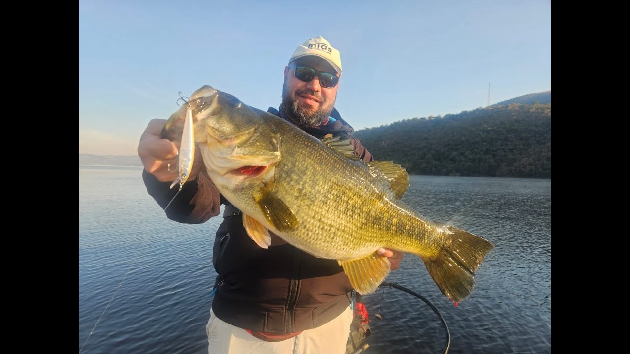 Great Day of Jerkbait Fishing at Loskop Dam
