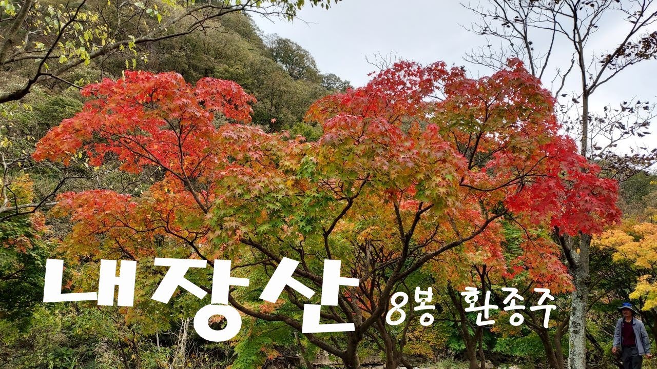 내장산 8봉환종주서래봉|불출봉|망해봉|연지봉|까치봉|신선봉|연자봉|장군봉 2023-10-22