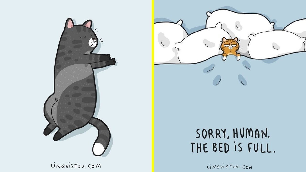 Artist Illustrates What It’s Like To Live With A Cat In Comics