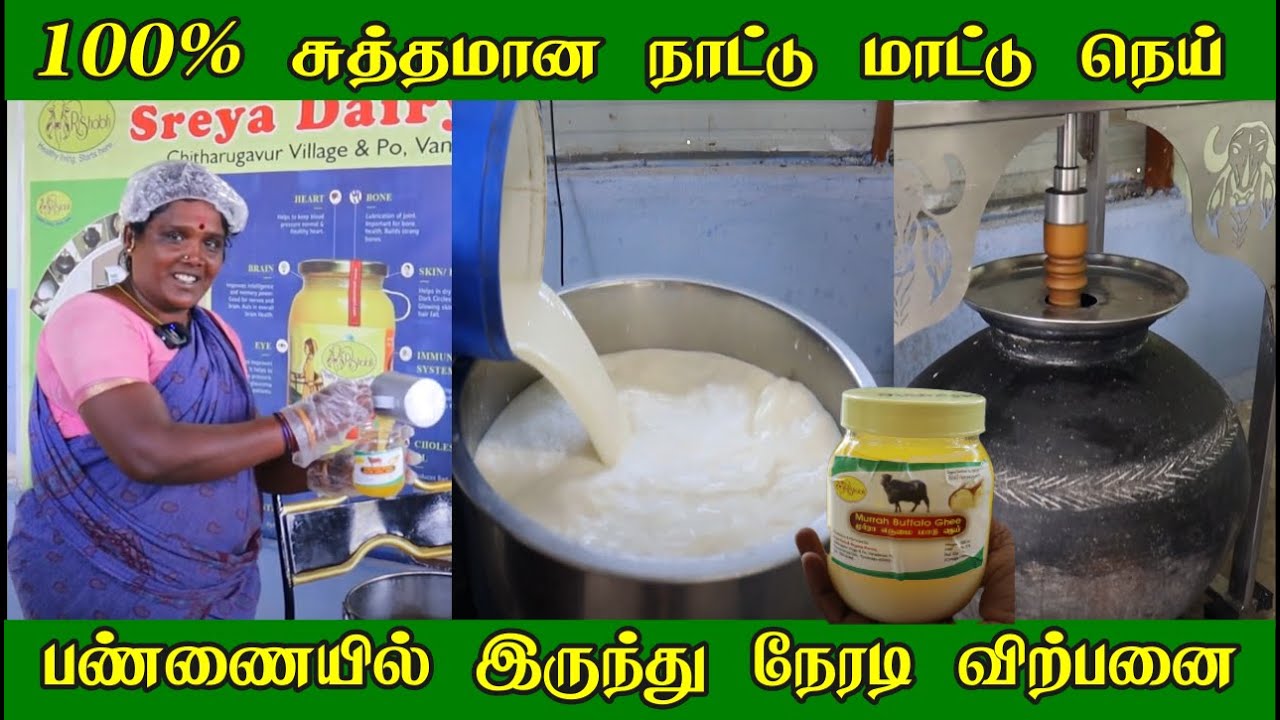 100% சுத்தமான A2 நாட்டு மாட்டு நெய் | பண்ணையிலிருந்து நேரடி விற்பனை | Making of Pure Ghee From Farm