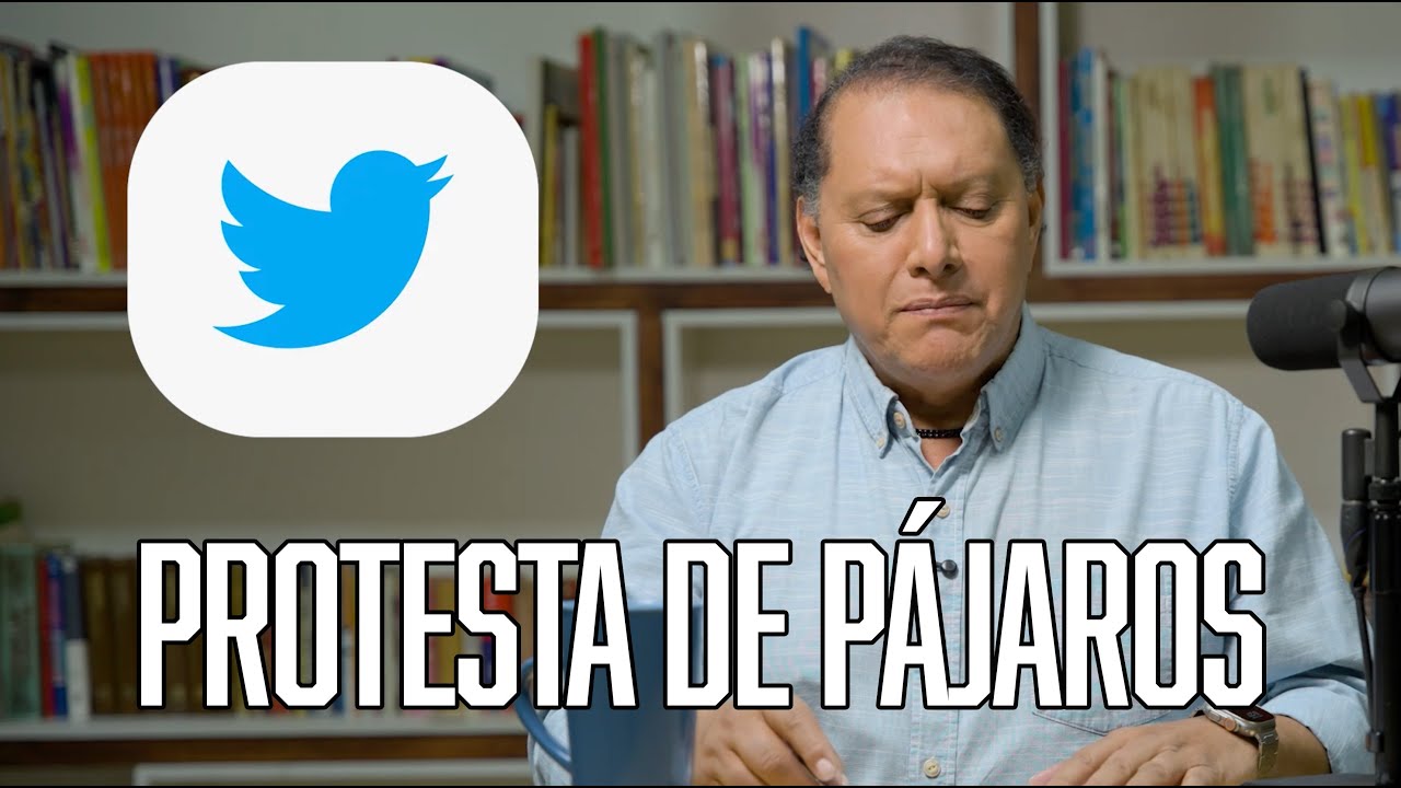 Protesta de pájaros - Humor | Noticiero con Jorge 