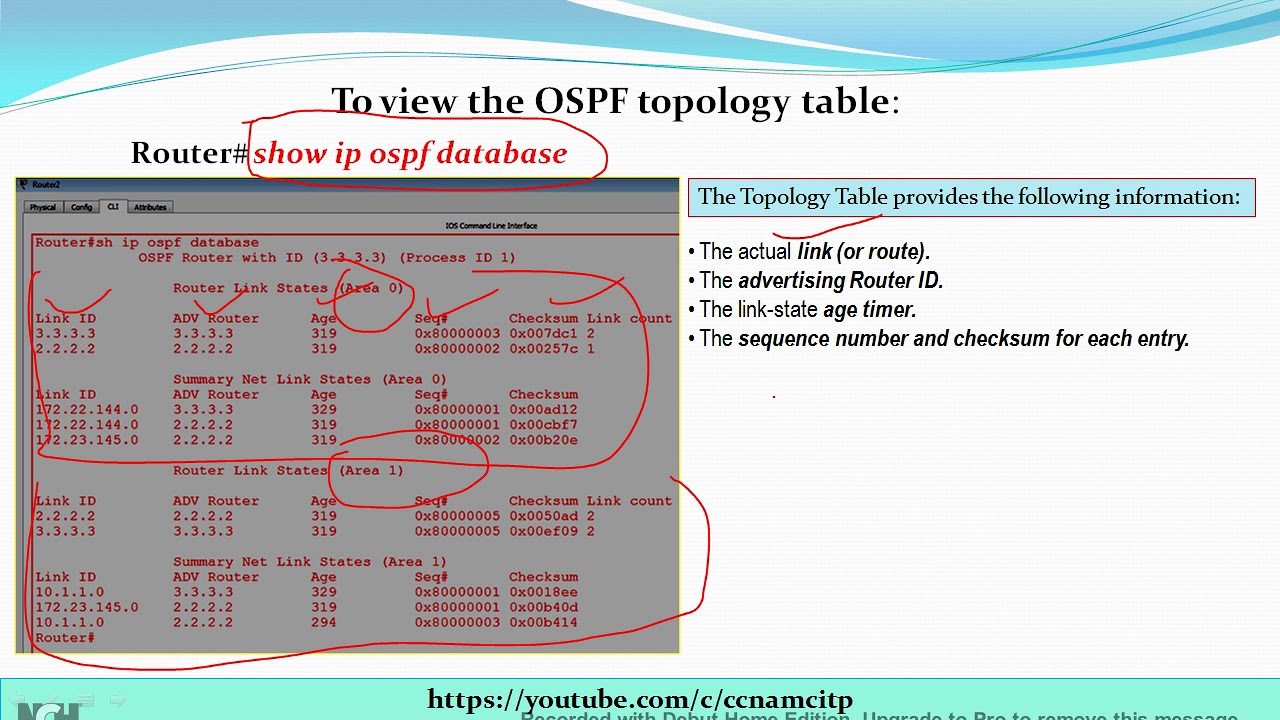 Troubleshooting OSPF !! Multiple Commands to Troubleshoot OSPF !! CCNA !!