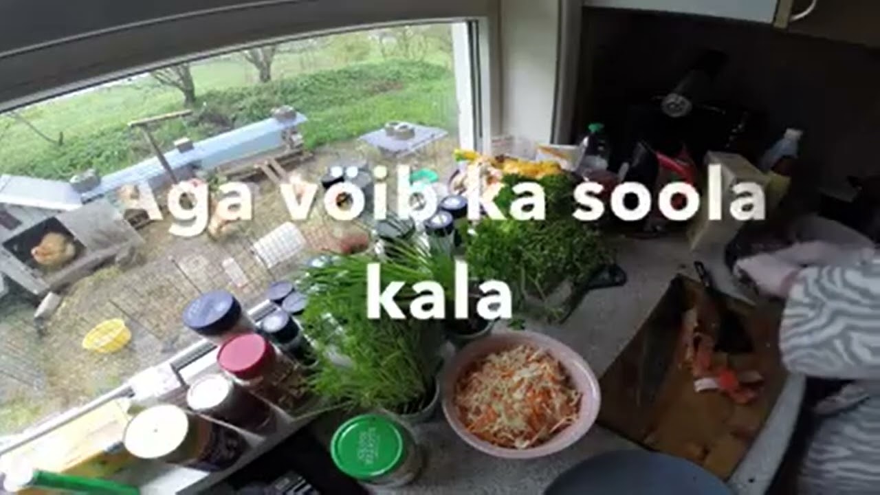 Lemmik söök lasele ))