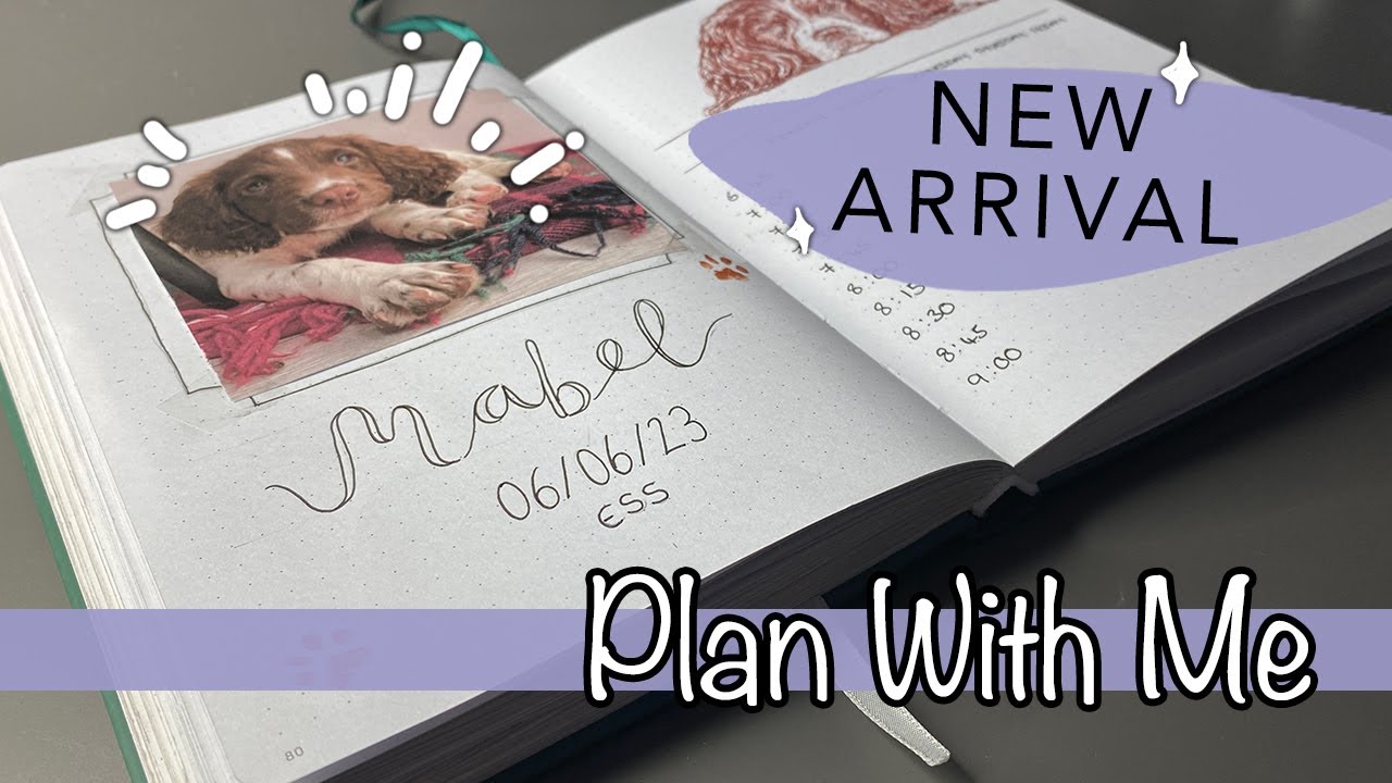 2023 AUGUST BULLET JOURNAL SETUP - New Puppy