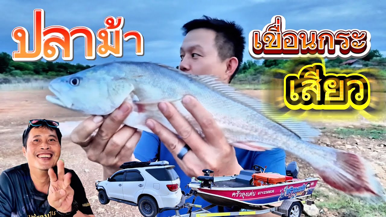 ต้มปลาม้า✅อ่างเก็บน้ำกระเสียว สุพรรณบุรี 