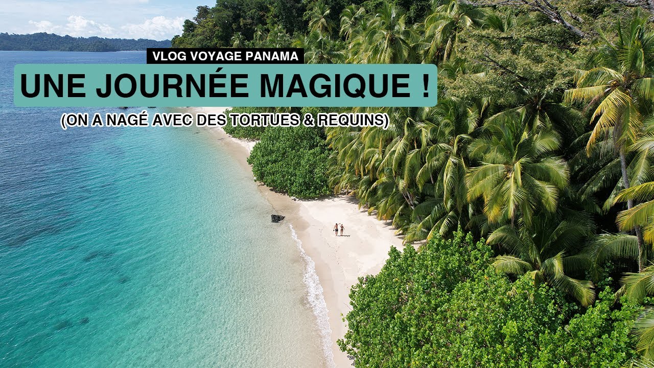 COIBA, UNE JOURNÉE MAGIQUE au Panama!!! (snorkeling avec tortues et requins) - Vlog Voyage