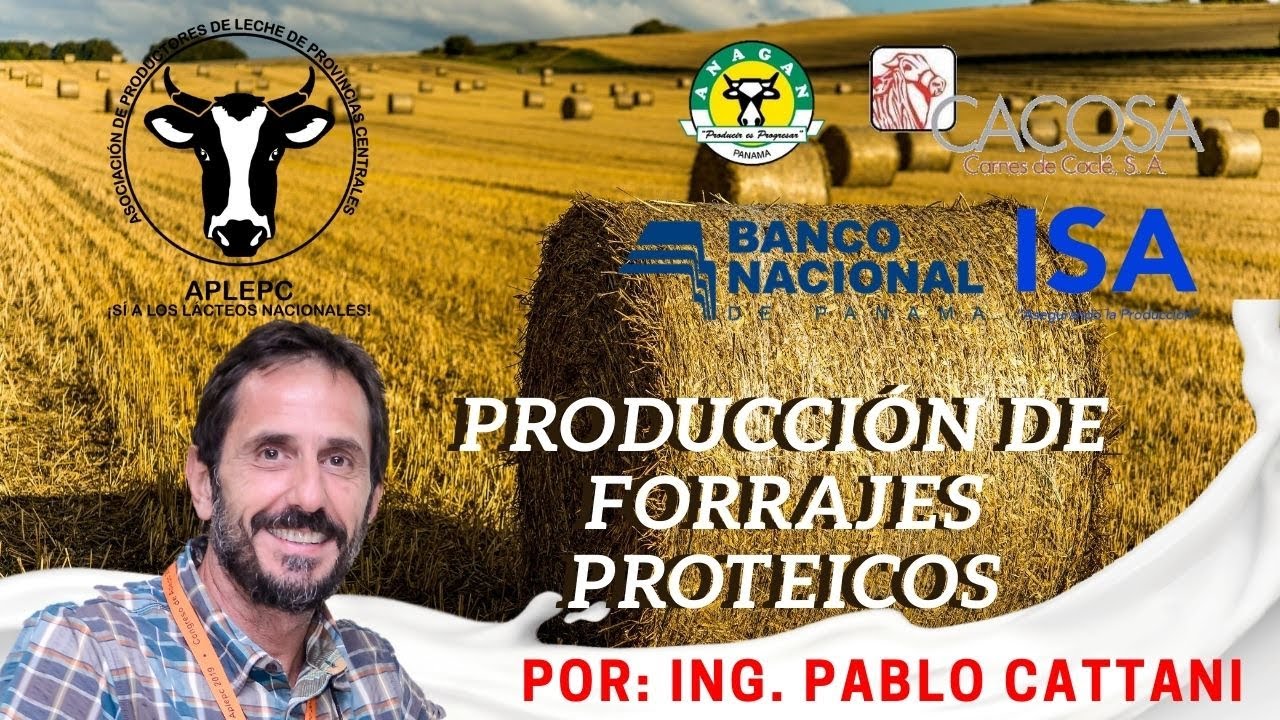 PRODUCCIÓN DE FORRAJES PROTEICOS POR PABLO CATTANI  //  APLEPC