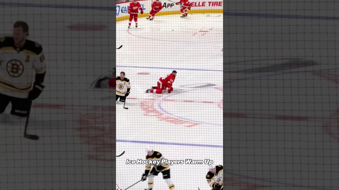 Boy Aquarium's pre-game warm-up is the most exciting thing..#NHL