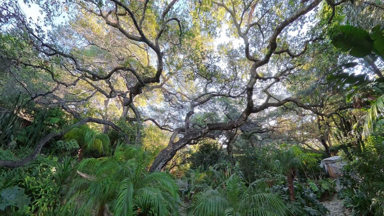 VLOG 2   Santa Barbara - Inside the Secret Garden of our Hearts