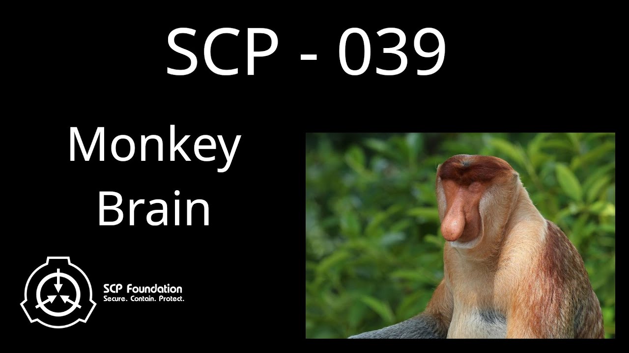 SCP 039 - Monkey Brain