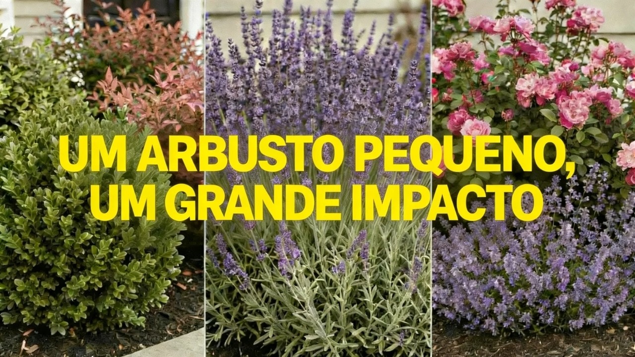 Top 7 combinações de arbustos para plantar na frente da sua casa!
