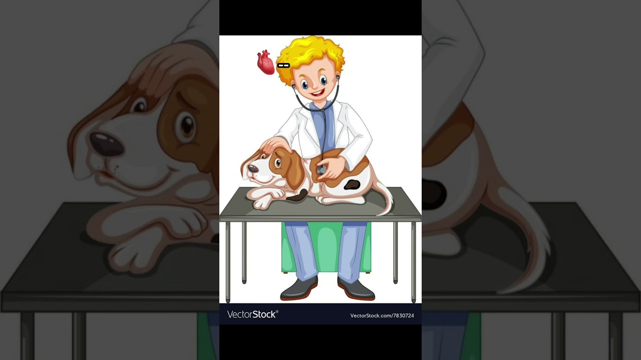 quem mais quer ser veterin&aacute;rio? 😍😍 #sonho #veterinario #faculdade