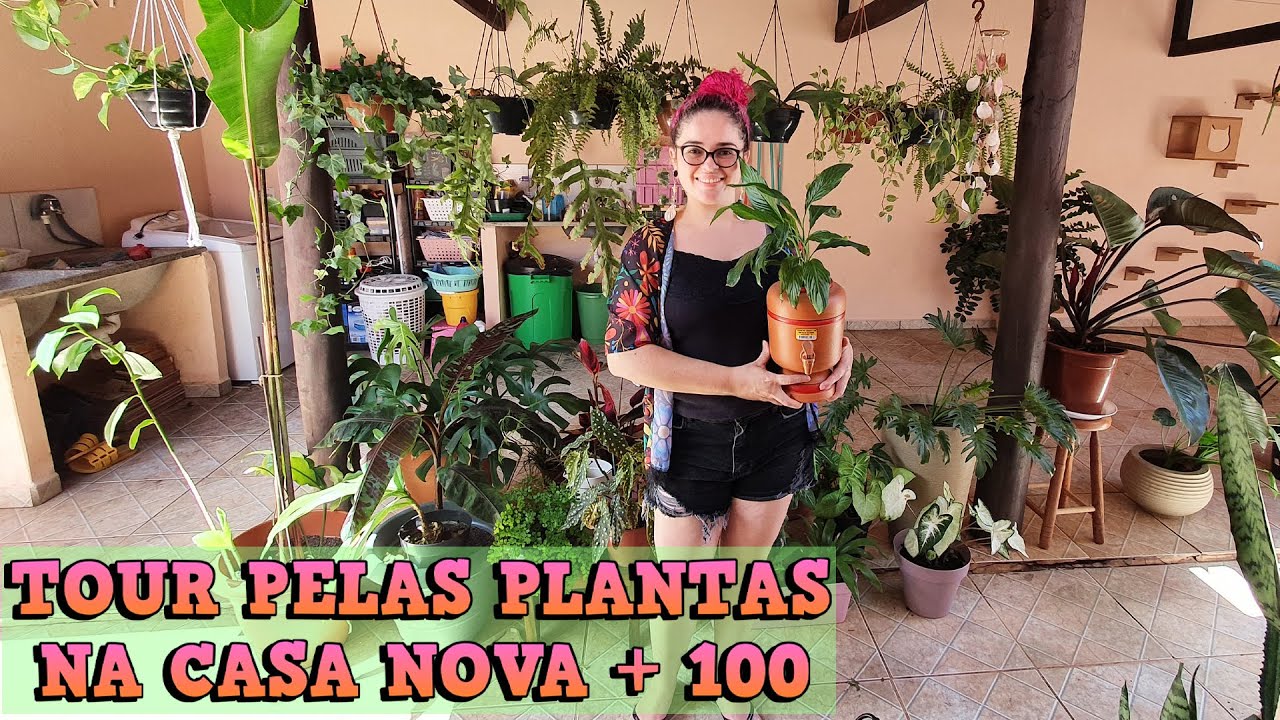 TOUR PELAS MINHAS +100 PLANTAS *na casa nova* 💚🪴