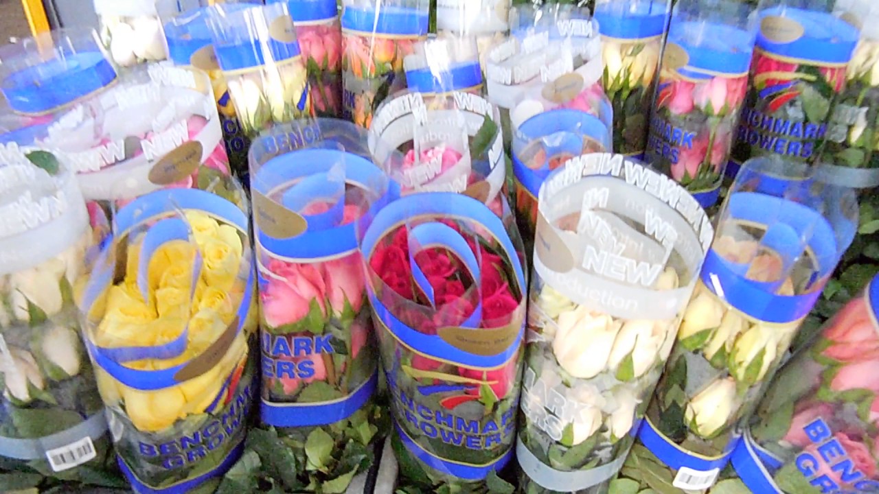 Melody Flowers