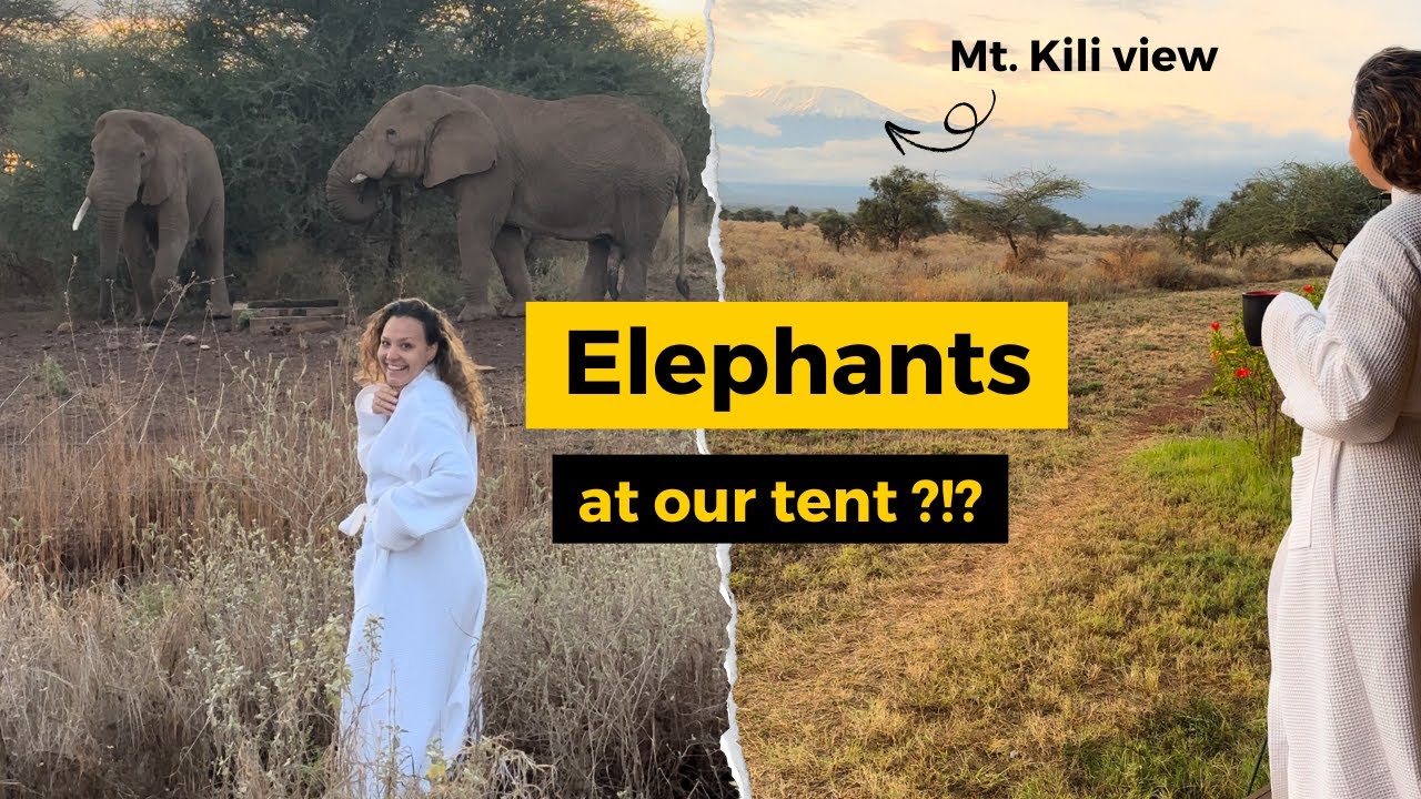 My absolutely NEW favorite & sustainable camp in Amboseli, KENYA!