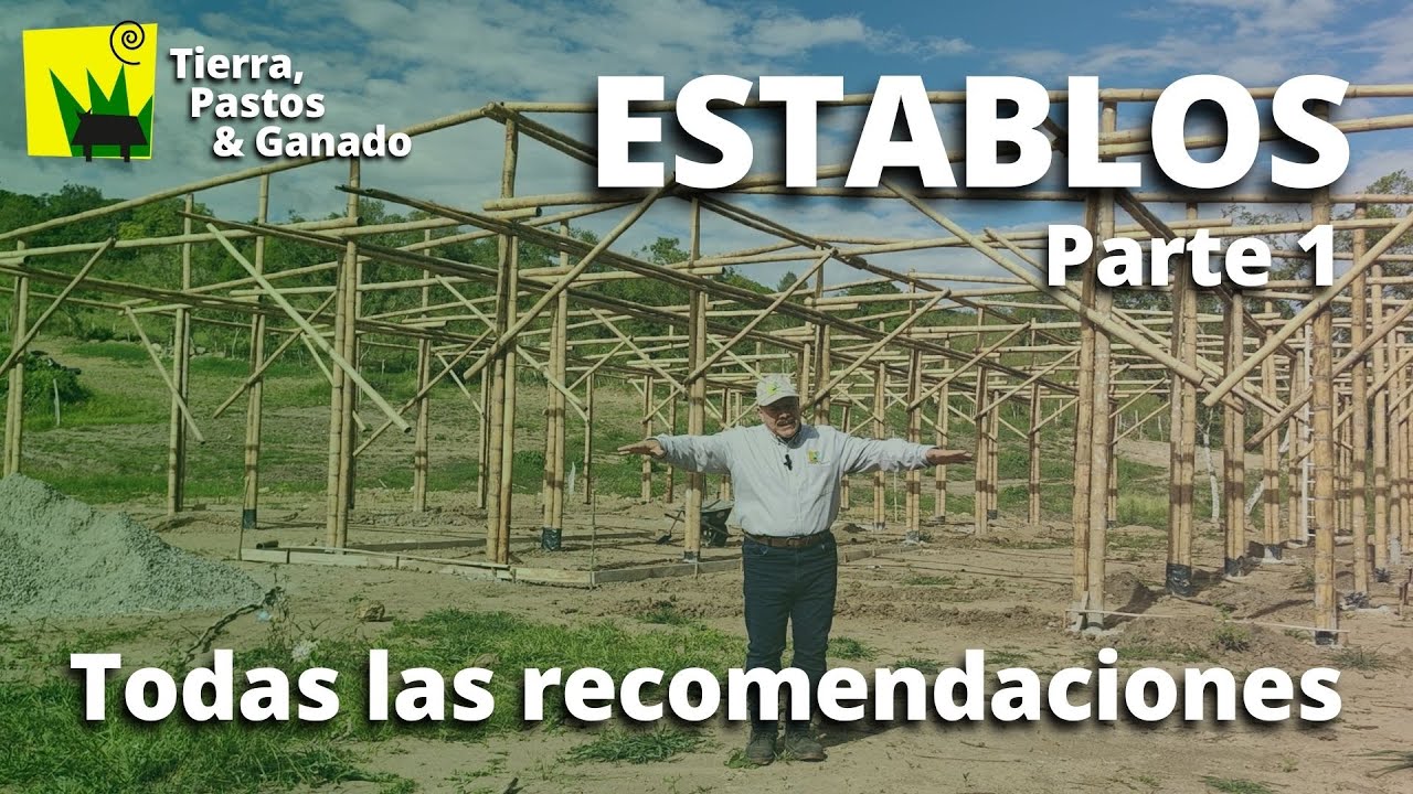 Consejos para Construir ESTABLOS Parte 1