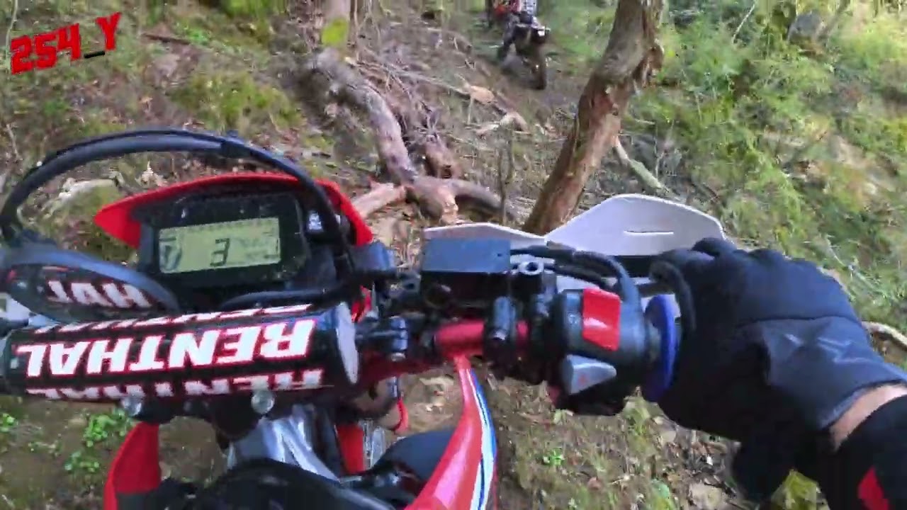 enduro CRF 300L - day 3 - come incastrarsi nel bosco #crf300l #enduro #dualsport #insta360