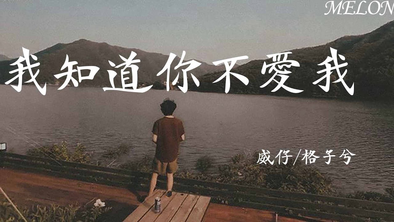 我知道你不愛我-威仔/格子兮『我知道你不愛我，可我還為你執著【動態歌詞Lyrics】