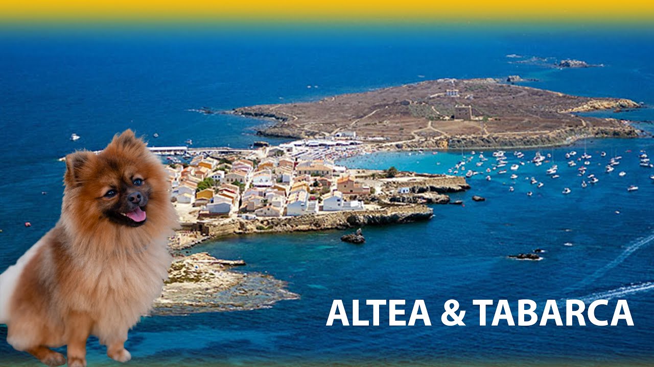 Spagna on the road: ALTEA & TABARCA