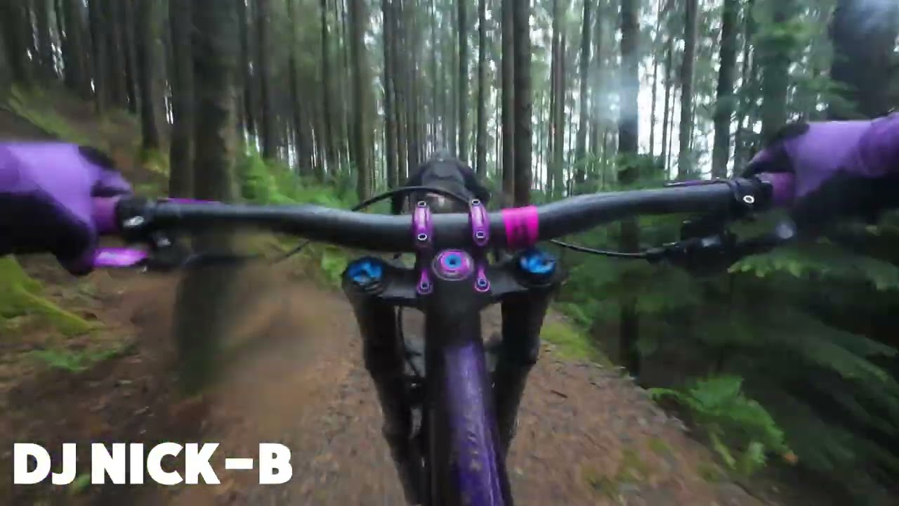 DYFI BIKE PARK 29/05/2025
