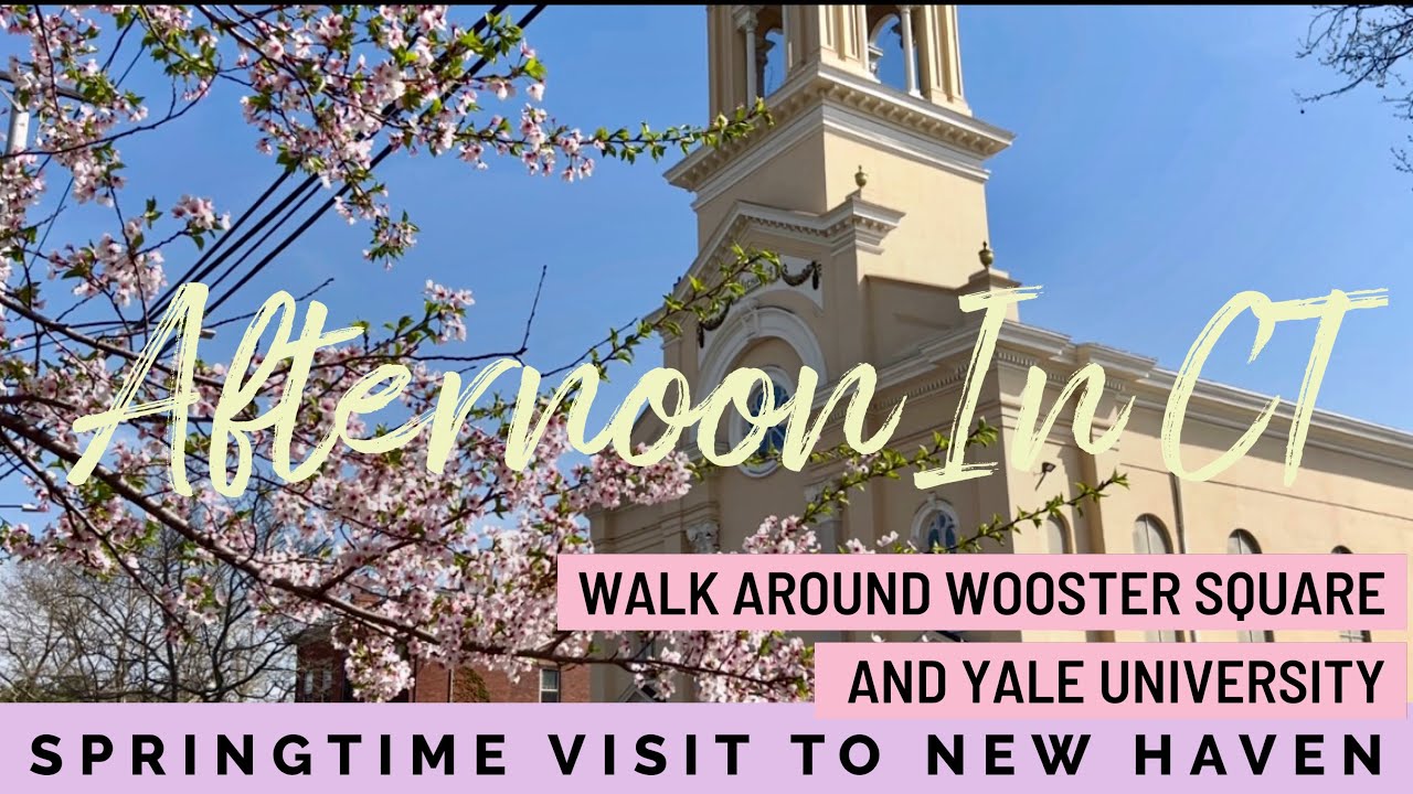New Haven CT YALE and Wooster square cherry blossoms
