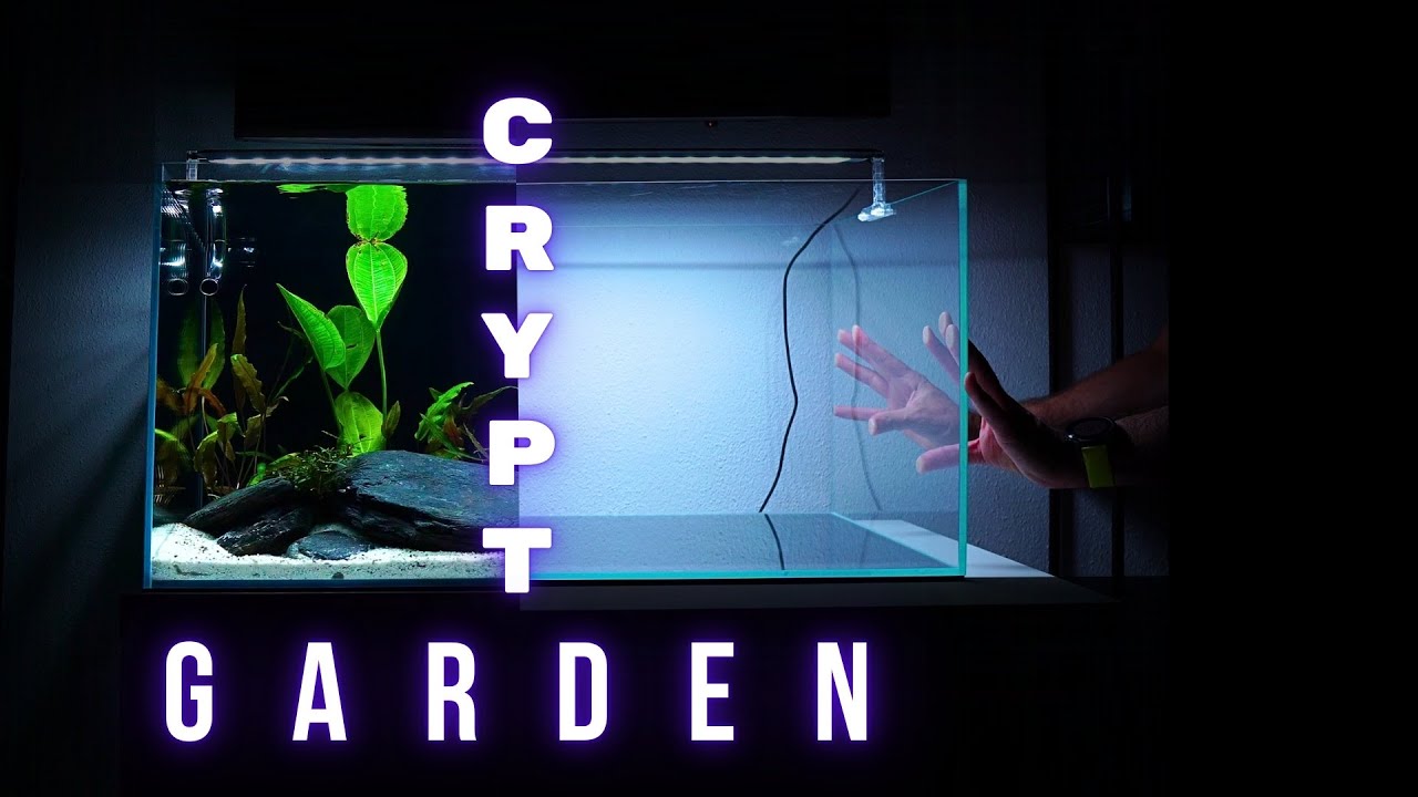 I made a SIMPLE LOW MAINTENANCE AQUARIUM | Step by step AQUASCAPING TUTORIAL | EP1