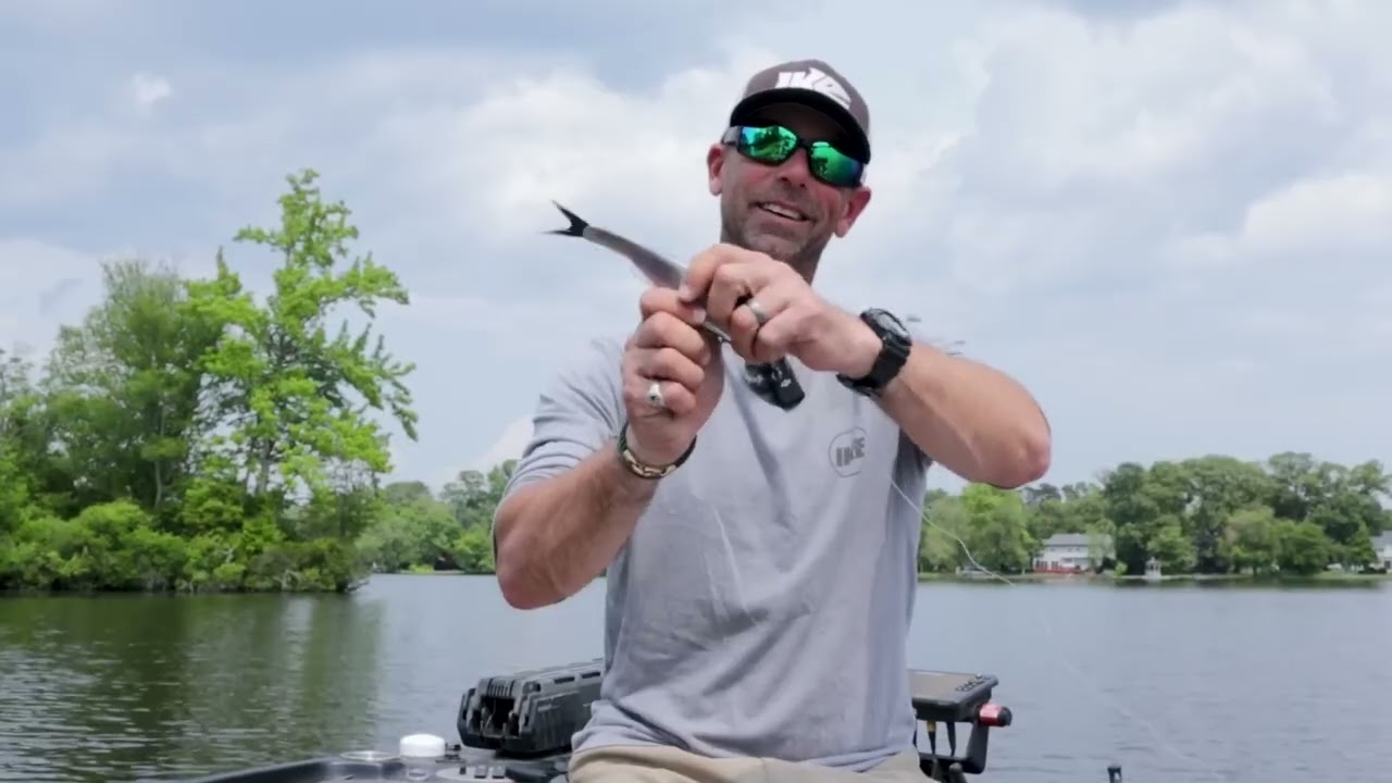 Berkley Powerbait Nessie