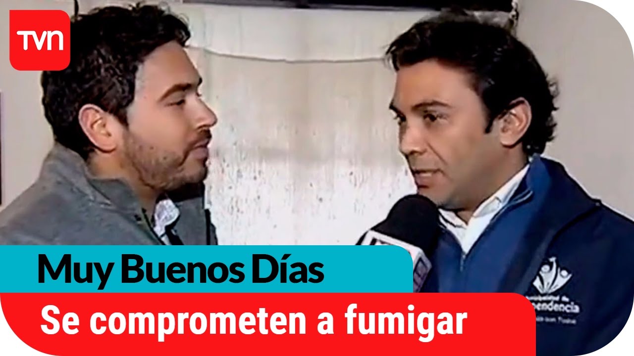 Municipalidad fumigar&aacute; casa plagada por cucarachas | Muy buenos d&iacute;as | Buenos d&iacute;as a todos