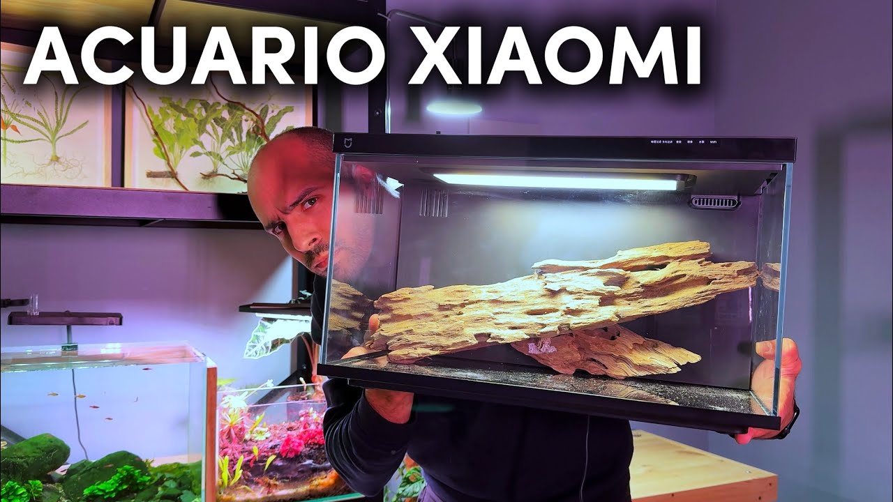 ¡Este acuario Xiaomi me ha pillado desprevenido! / ¿Vale lo que cuesta?