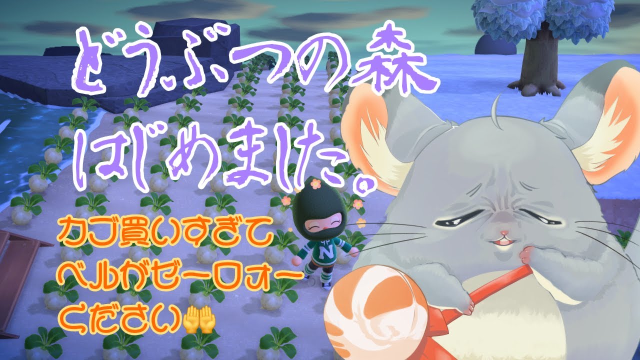 #あつまれどうぶつの森 　チル枠　アイテム交換でもしようよ♡　#ゲーム実況　#初見さん大歓迎