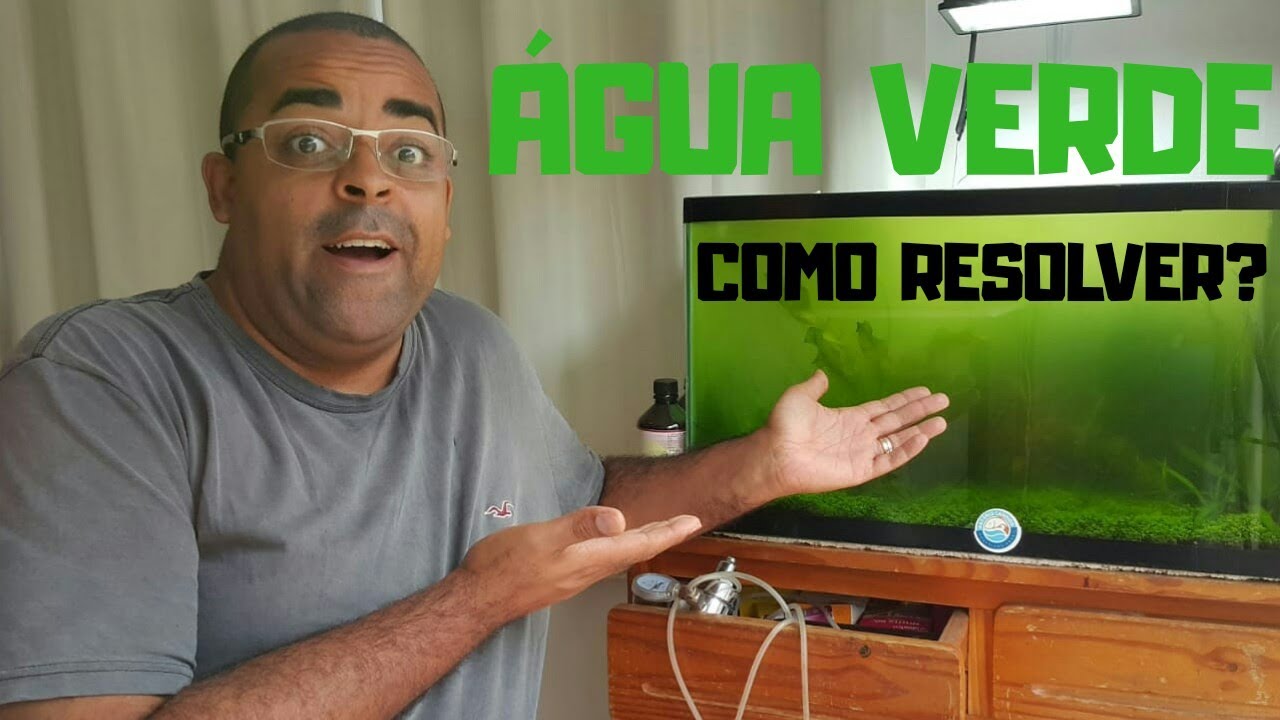 COMO ACABAR COM A ÁGUA VERDE EM AQUÁRIO? TRATAMENTO COMPLETO!