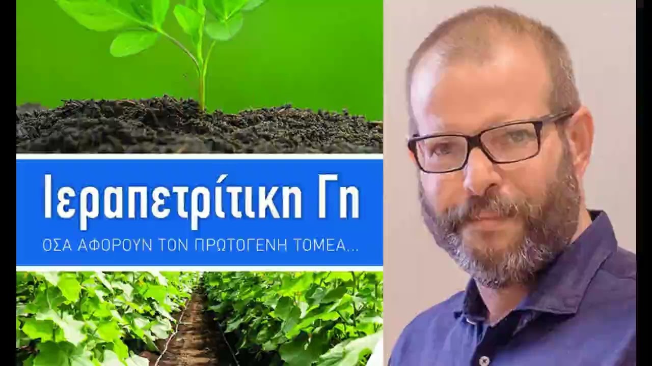 Το ελαιόλαδο της Ιεράπετρας σε κρίσιμη καμπή: Μειωμένη παραγωγή και ανάγκη για ενιαίο μέτωπο